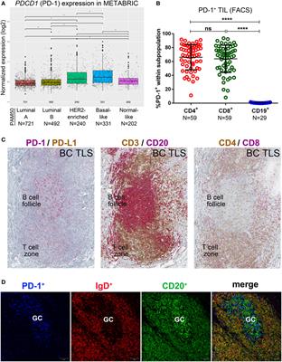 Immune Checkpoint Molecules on Tumor-Infiltrating Lymphocytes and Their Association with Tertiary Lymphoid Structures in Human Breast Cancer